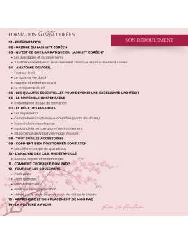 Perfectionnement sur la technique du rehaussement de cils coréen