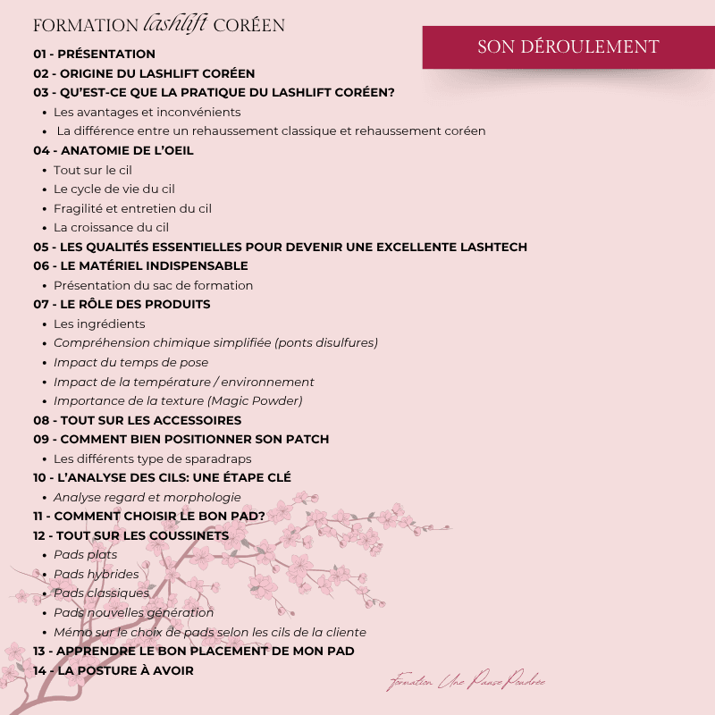Perfectionnement sur la technique du rehaussement de cils coréen